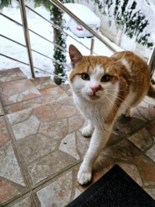 RustyRocco_01.05.2024