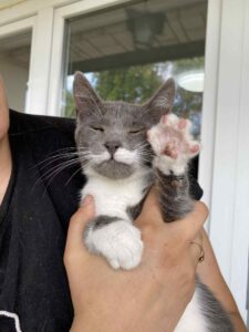 MissWeasley_01.04.2025