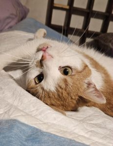 RustyRocco_01.05.2024