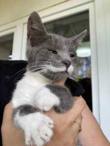 MissWeasley_01.04.2025