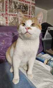 RustyRocco_01.05.2024