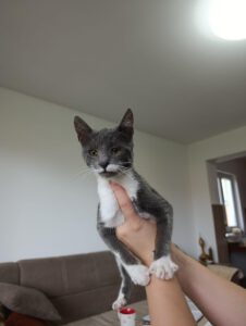 MissWeasley_01.04.2025