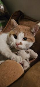 RustyRocco_01.05.2024