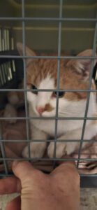 RustyRocco_01.05.2024