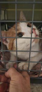 RustyRocco_01.05.2024