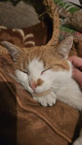 RustyRocco_01.05.2024