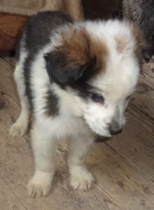 Tannar_september2025