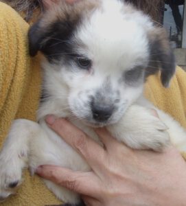 Tannar_september2025