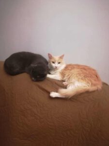 592508631_1845685759641750_5045868372915640097_n