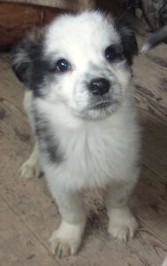 Tannar_september2025