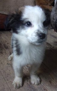 Tannar_september2025