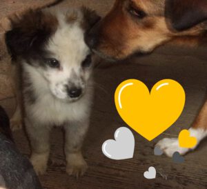 Tannar_september2025