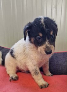 595041390_1848428479100974_4042515340264915503_n