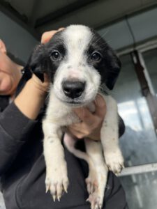 595047593_1581306469732095_6289546401518362238_n