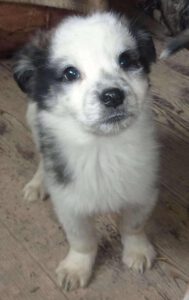 Tannar_september2025