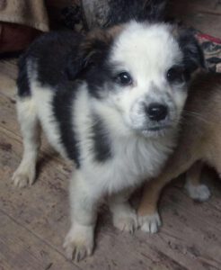 Tannar_september2025