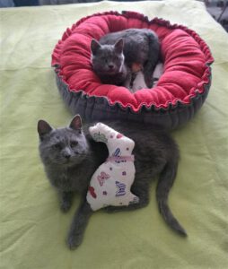 Lucy_Liza_12.08.2025