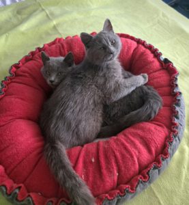 Lucy_Liza_12.08.2025