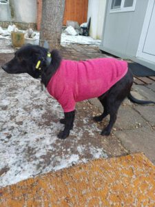 AMAYA Januar 2023 (1)