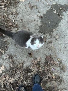 TOPCHO-April 2024 (1)