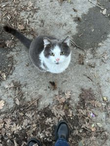 TOPCHO-April 2024 (2)