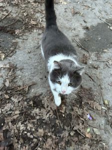 TOPCHO-April 2024 (3)