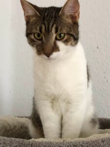 0a94daab-9e8f-411e-ae5f-0b9187b84596 (1)