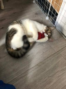 303d1826-d481-4a79-ac58-047b5a385667