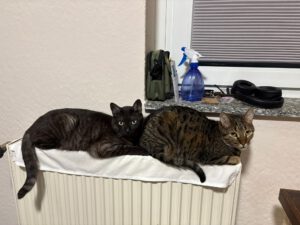 MORTI&LOKI2024 (16)