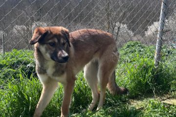 664205616_2031866480732473_3134344602824237224_n