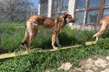 664947401_2112566936266099_2972840940193833698_n