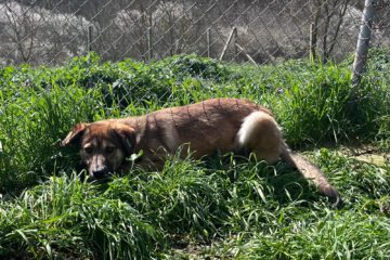 666010483_2883215772052102_619448272930016866_n