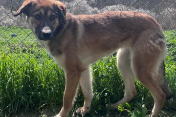 670399466_1004009992055755_7371188313525595156_n