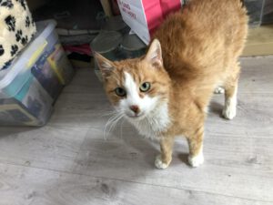 Ausgewähltes Foto (3)