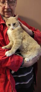 Ich bin eine tolle und gutmütige Katze und manchmal ganz schön neugierig.