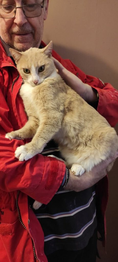 Ich bin eine tolle und gutmütige Katze und manchmal ganz schön neugierig.