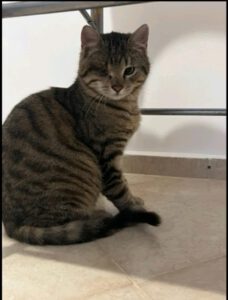 JAKOBY u. JAMIRO, 01.10 (2)