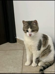 JAKOBY u. JAMIRO, 01.10 (4)