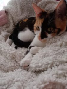 JEZEBELLE, 20.08 (4)