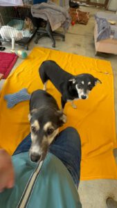 MALIA_MARIBEL2025 (1)