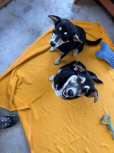 MALIA_MARIBEL2025 (2)