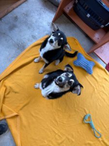 MALIA_MARIBEL2025 (3)