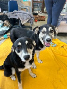 MALIA_MARIBEL2025 (4)