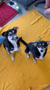 MALIA_MARIBEL2025 (5)