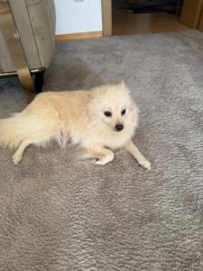 YOSHI_YAKO_YONA2026 ELTERN (1)