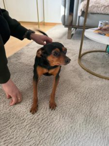 YOSHI_YAKO_YONA2026 ELTERN (2)