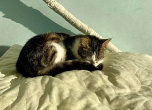 ANIKA, 10.07 (4)
