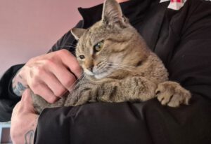EVIE, geb. 2025 (2)
