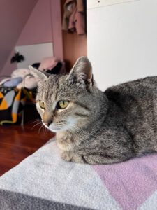 EVIE, geb. 2025 (7)