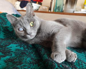 KARI, 02.07 (2)